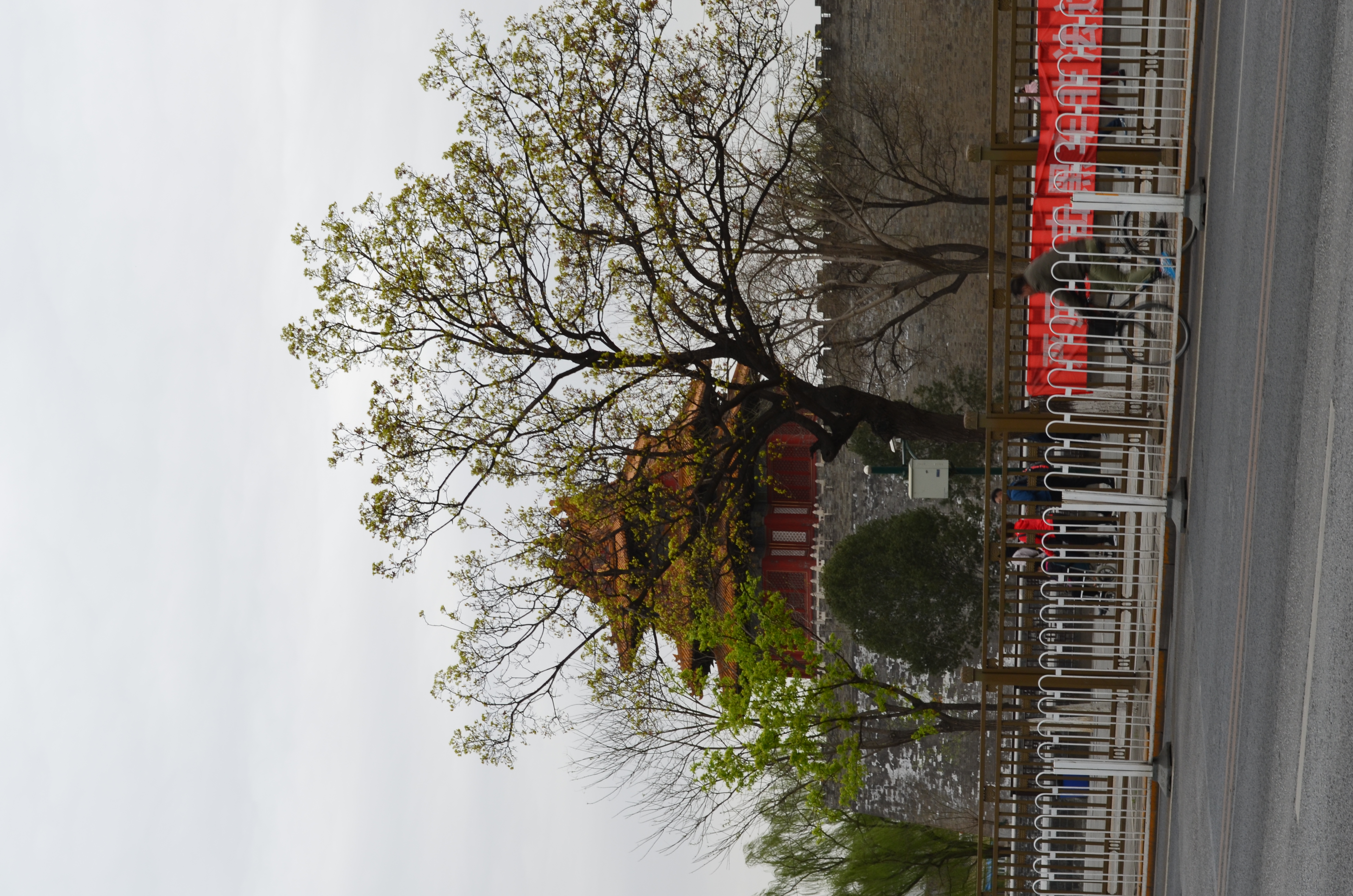 ./2018/03 - Viking China/06 - Forbidden City/DSC_11015.JPG